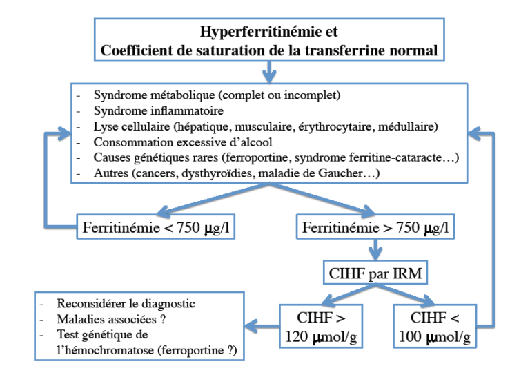 Prise en charge de l’hyperferritinémie FMCHGE