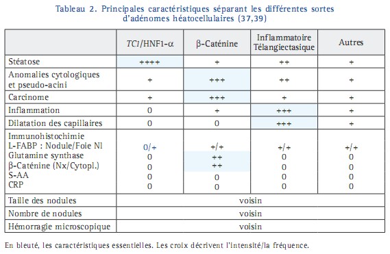 Tumeurs bénignes du foie : hyperplasie nodulairefocale et adénomes ...