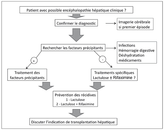 Encéphalopathie hépatique au cours de la cirrhose – FMC-HGE