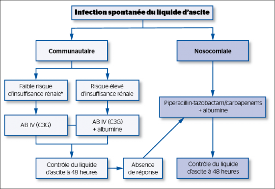 Prise en charge thérapeutique d’une infection spontanée du liquide d’ascite