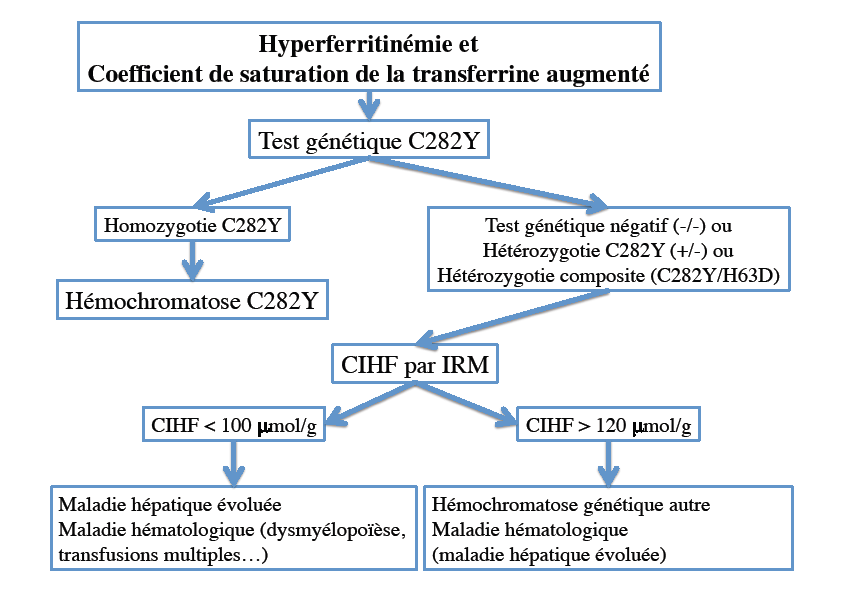 Figure 1. Proposition d’algorithme de diagnostic d’une hyperferritinémie associée à un coefficient de saturation de la transferrine augmenté (d’après 5)