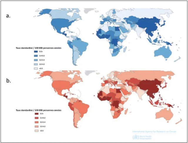 Figure 1. Épidémiologie du cancer primitif du foie à l’échelle mondiale pour les deux sexes confondus selon l’OMS (http://globocan.iarc.fr/Pages/Map.aspx) : a – incidence ; b – mortalité