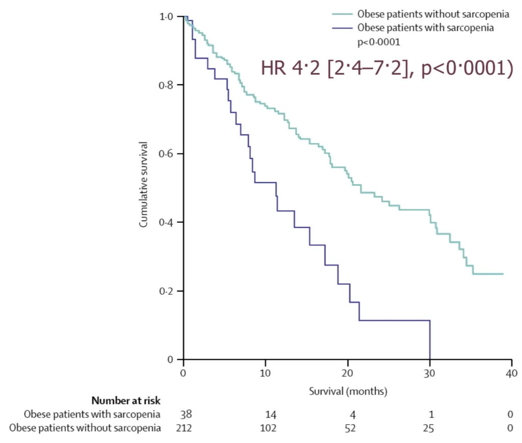 Figure 2. Courbe de survie chez de patients obèses sarcopéniques ou non, porteurs d’un cancer digestif ou pulmonaire en cours de chimiothérapie