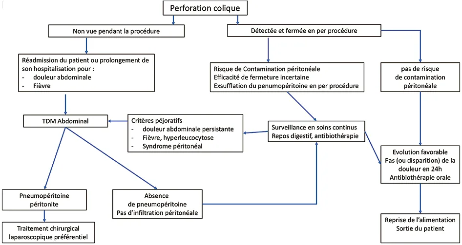 Figure 3. Proposition d’arbre décisionnel pour la prise en charge des perforations coliques
