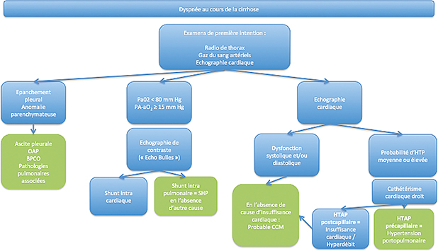 Figure 1 : Orientation diagnostique devant une dyspnée au cours de la cirrhose