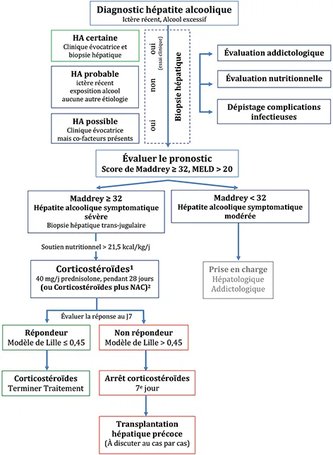 Figure 2 : Algorithme de prise en charge de l’Hépatite Alcoolique (HA)