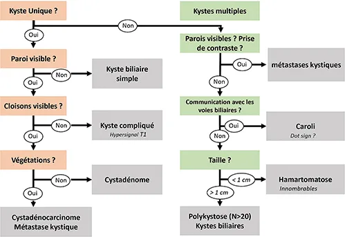 Figure 1 : Aide-mémoire simplifié d’orientation diagnostique en imagerie devant la découverte d’un kyste hépatique