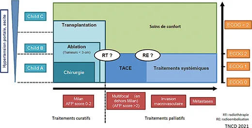 Figure 1 : Algorithme thérapeutique du thésaurus national de cancérologie digestive