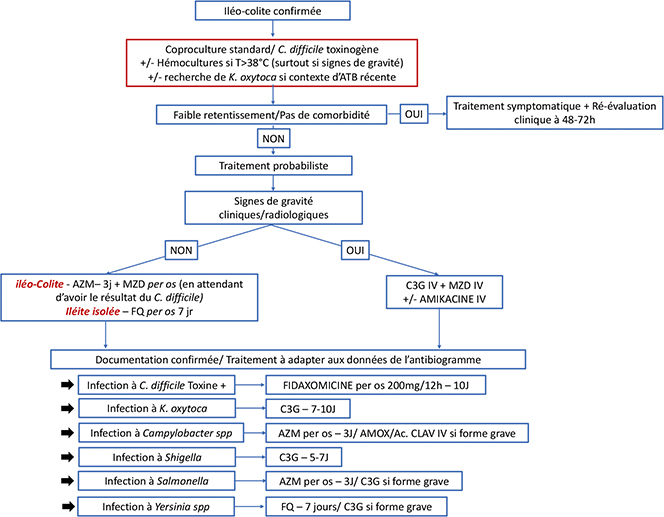 Figure 1 : Proposition d’algorithme décisionnel pour le choix d’une antibiothérapie dans un contexte d’iléite ou d’iléocolite aiguë présumée infectieuse