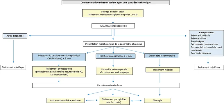 Figure 5 : Algorithme de prise en charge de la douleur chez un patient ayant une PC