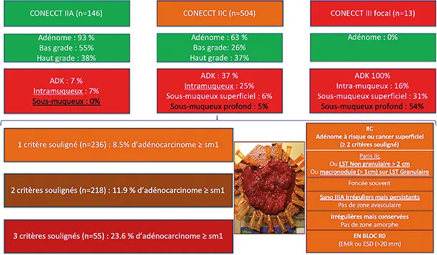 Figure 9 : résultats de la caractérisation avec CONECCT sur 663 lésions consécutives réséquées R0 monobloc