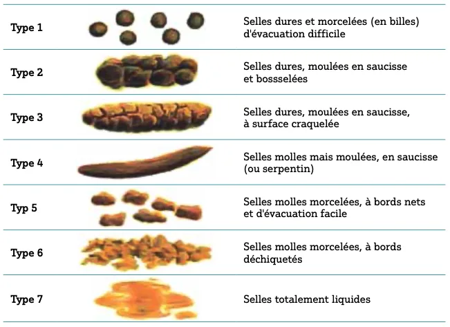 Figure 1 : Échelle de consistance des selles de Bristol (Bristol Stool Scale Form)