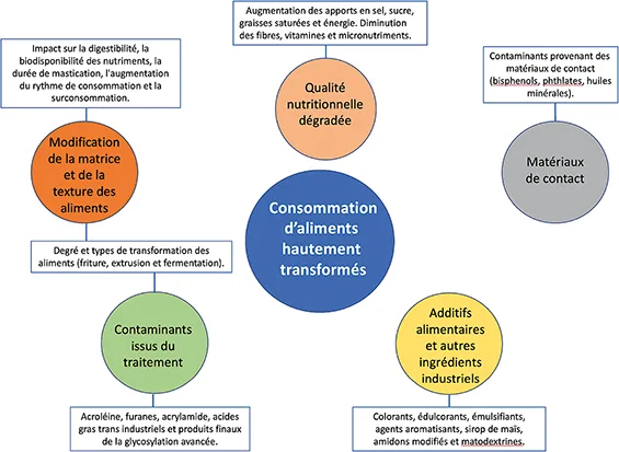 Figure 1 : mécanismes favorisant la toxicité des aliments hautement transformés (adapté d’après 7)