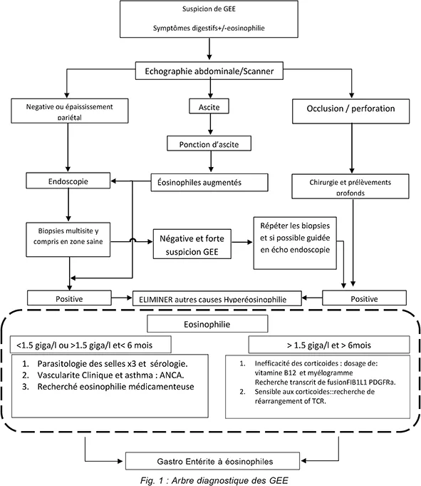 Figure 1 : Arbre décisionnel devant une suspicion de GEE