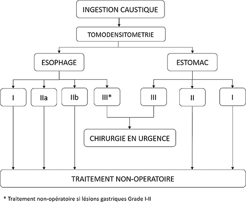 Figure 1 : Algorithme de prise en charge en urgence des ingestions caustiques