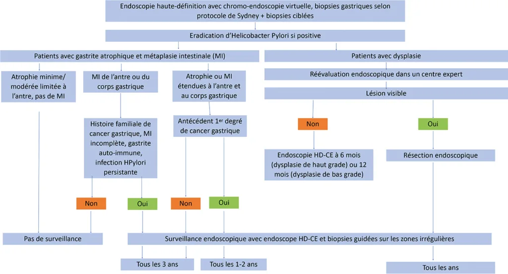 Figure 6 : Algorithme de surveillance proposé pour le suivi de la gastrite chronique atrophique à ses différents stades. Tiré des recommandations ESGE 2019