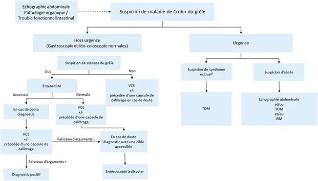 Figure 1 : Proposition d’algorithme pour l’exploration de l’intestin grêle en cas de suspicion de maladie de Crohn