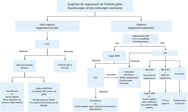 Figure 2 : Proposition d’algorithme pour l’exploration de l’intestin grêle en cas de suspicion de saignement digestif inexpliqué