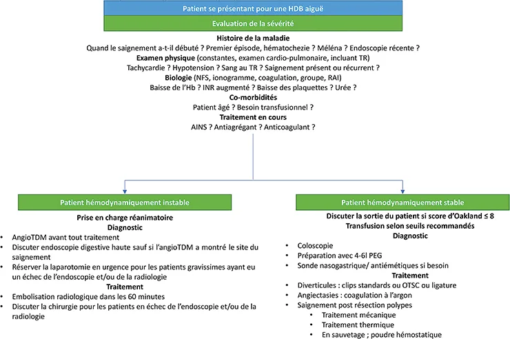 Figure 1 : Algorithme de prise en charge de l’hémorragie digestive basse, selon les recommandations de l’ESGE (2021)