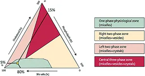 Figure 3 : Diagramme ternaire de Small (Portincasa et al. Lancet 2006)
