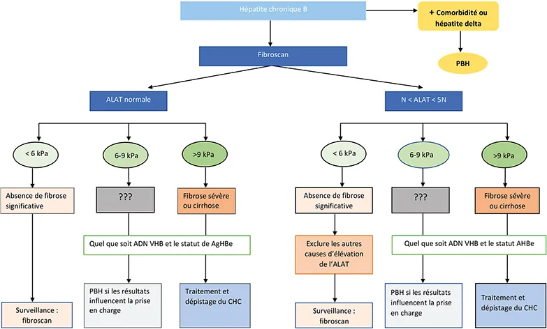 Tableau 2 : Fibroscan ou PBH ?