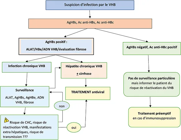 Tableau 3 : Algorithme pour le management de l’infection par le VHB