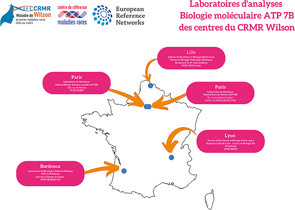 Figure 1B : Liste des laboratoires de biologie moléculaire des centres du CRMR Wilson réalisant l’analyse du gène ATP7B (mise à jour décembre 2022)