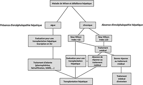 Figure 2 : Algorithme décisionnel en cas de maladie de Wilson avec défaillance hépatique (adapté d’après Ahmad et al., Handbook of Clinical Neurology, 2017 (Chapitre 16 Liver transplantation for Wilson disease)