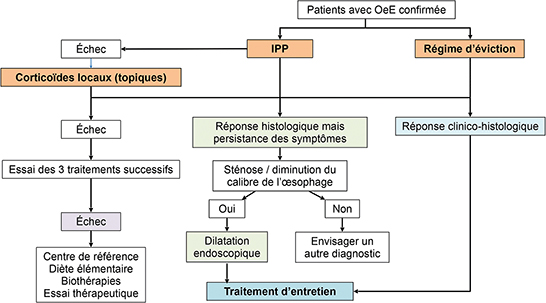 Figure 3 : Algorithme de prise en charge thérapeutique d’un patient avec oesophagite à éosinophiles (OeE) confirmée sur les biopsies oesophagiennes et symptômes oesophagiens. Les traitements de 1re intention [Inhibiteurs de la pompe à protons (IPP), corticoïdes locaux et régime d’éviction] sont essayés successivement en cas d’échec