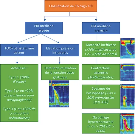 Figure 1 : Classification de Chicago v4.0