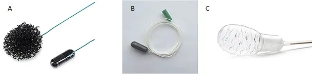 Nouveaux outils de détection non endoscopique de l’endobrachyoesophage (EBO)