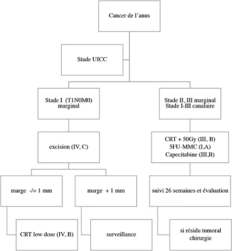 Stratégie de prise en charge du cancer de l’anus sans extension métastatique d’emblée (3)