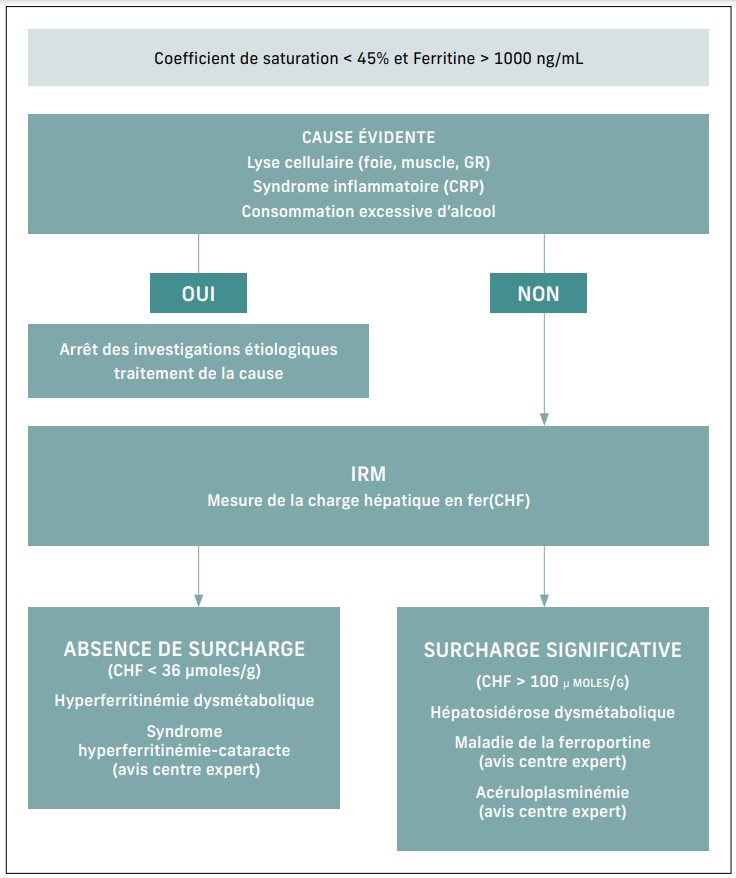 Figure 1 : Conduite à tenir devant un coefficient de saturation de la transferrine < 45 % et une hyperferritinémie