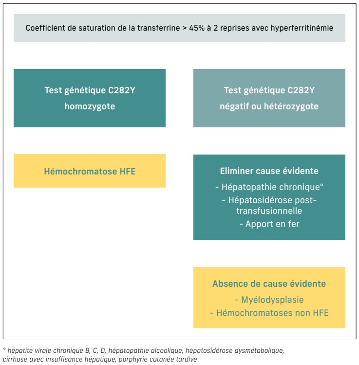 Figure 2 : Conduite à tenir devant un coefficient de saturation de la transferrine > 45 % et une hyperferritinémie