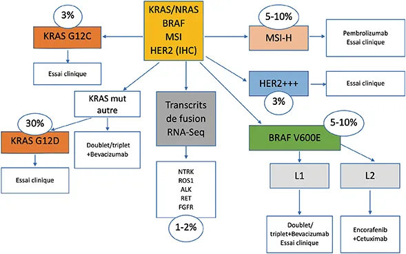 Figure 4 : Altérations ciblables dans le CCRM