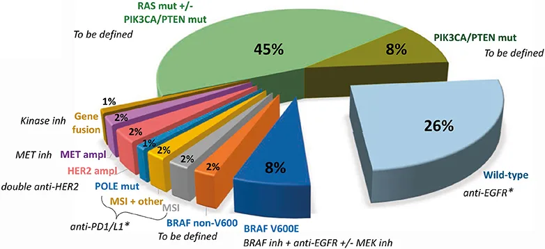 Figure 10 : Principales altérations ciblables dans le CCRM (d’après Dienstmann R, ASCO Educational Book 38, 2018)
