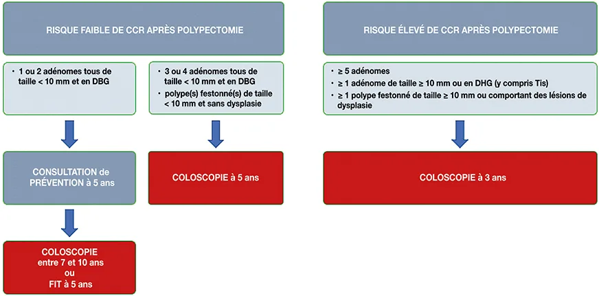 Figure 4 : Recommandations de surveillance après polypectomie, SFED 2022