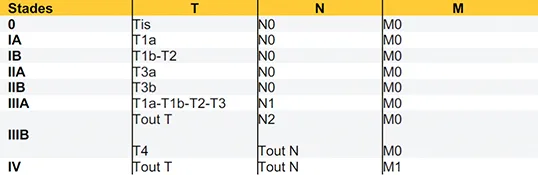 Tableau 1b : Stades pronostiques de l’AJCC (8e édition 2017) des cancers de l’ampoule
