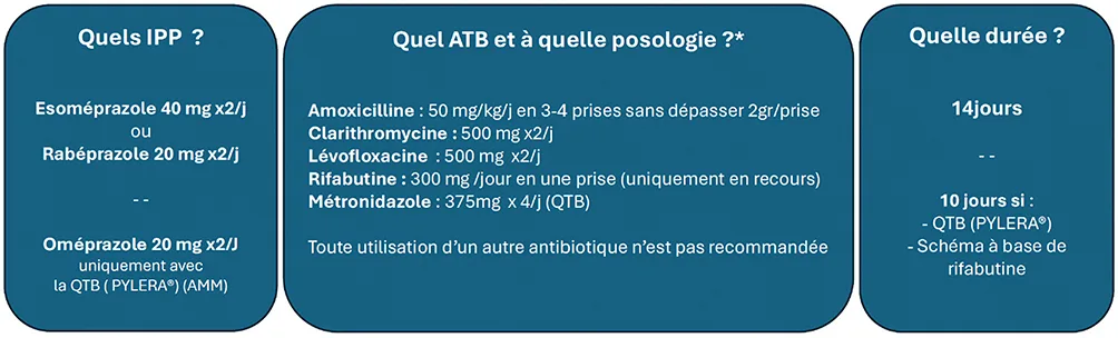 Conseils pour réussir un traitement d'éradication de H. pylori