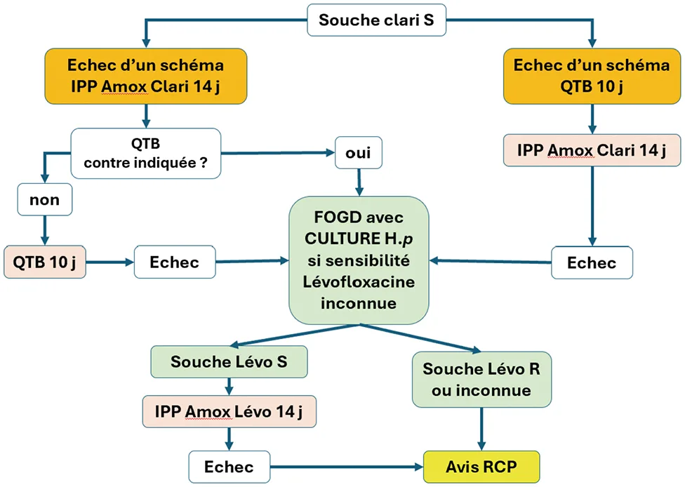 Traitement orienté de seconde ligne en cas de souche initiale Clari S