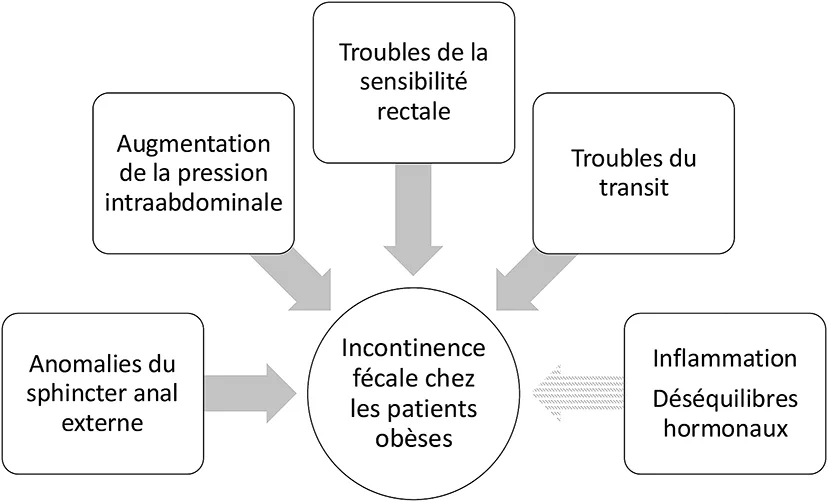 Figure 1 : Figures pathologies anorectales et obésité