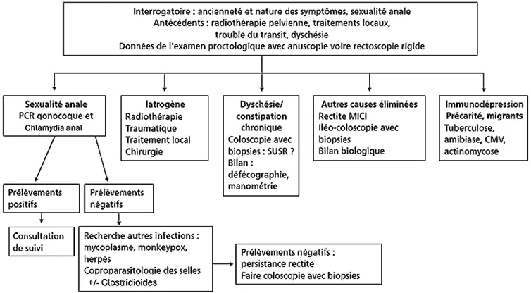 Figure 1 : Algorithme diagnostique devant une rectite
