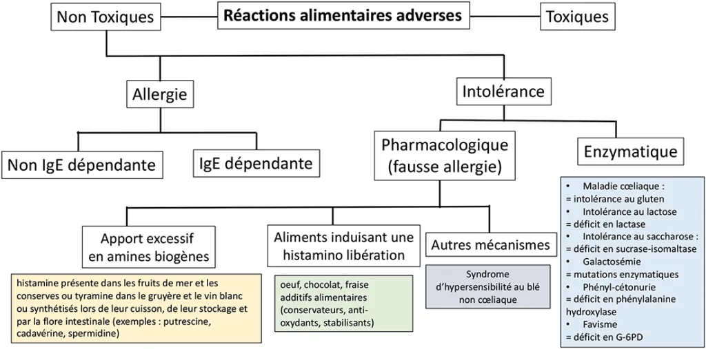 Figure 1 : Classifications des réactions adverses alimentaires de l’Académie Européenne d’Allergie et d’Immunologie Clinique, basée sur leurs mécanismes physiopathologiques