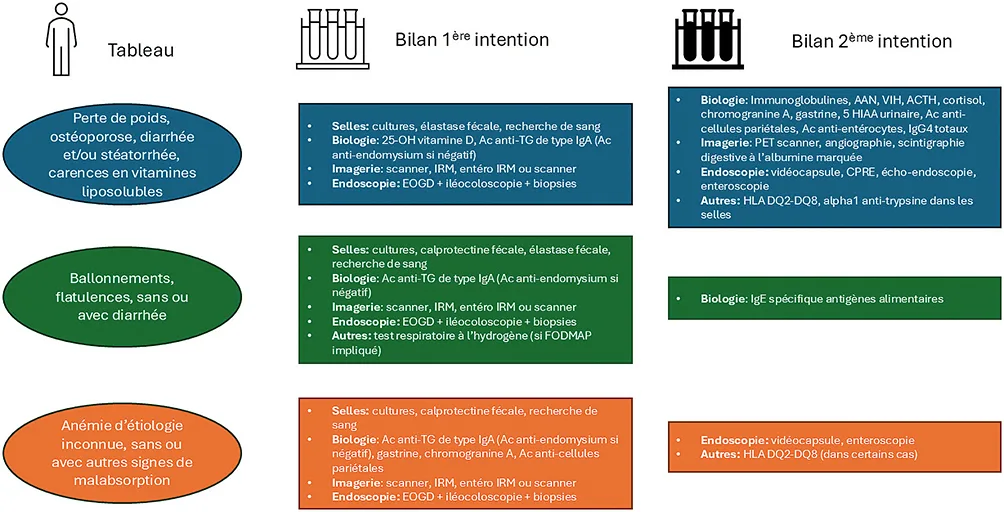 Figure 5 : Algorithme diagnostic d’une malabsorption chez l’adulte selon le tableau clinique