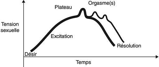 Figure 1 : Cycle de la sexualité d’après le référentiel du collège d’urologie (6e édition) - Chapitre 6, item 58. Association Française d’Urologie