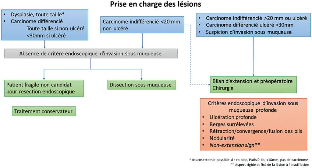 Figure 1 : Arbre décisionnel pré-thérapeutique des lésions gastriques visibles