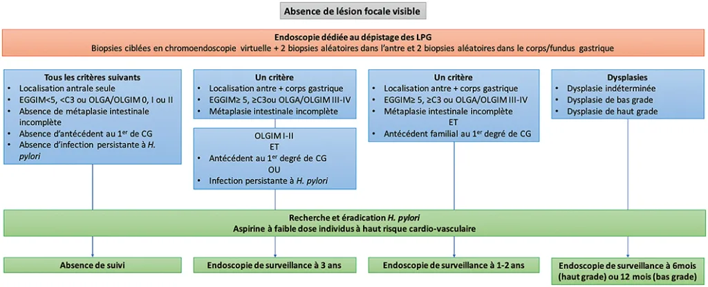 Figure 7 : Algorithme de surveillance des conditions précancéreuses selon les résultats endoscopiques et histologiques