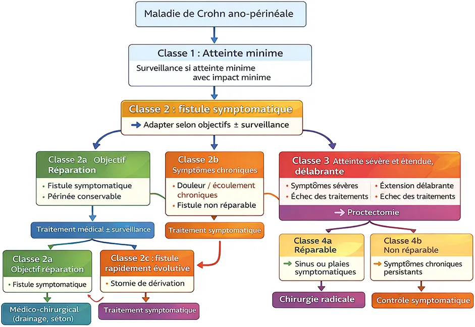 Figure 1 : Classification des fistules ano-périnéales selon les recommandations ECCO 2024 et leurs stratégies de prise en charge
