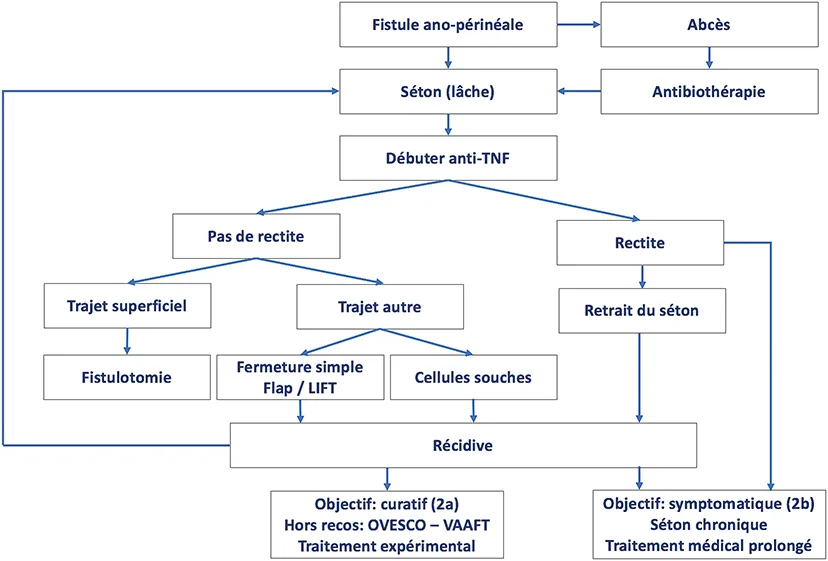 Figure 2 : Algorithme de prise en charge des fistules accessibles à une réparation chirurgicale (i.e., fistules de classe 2a)