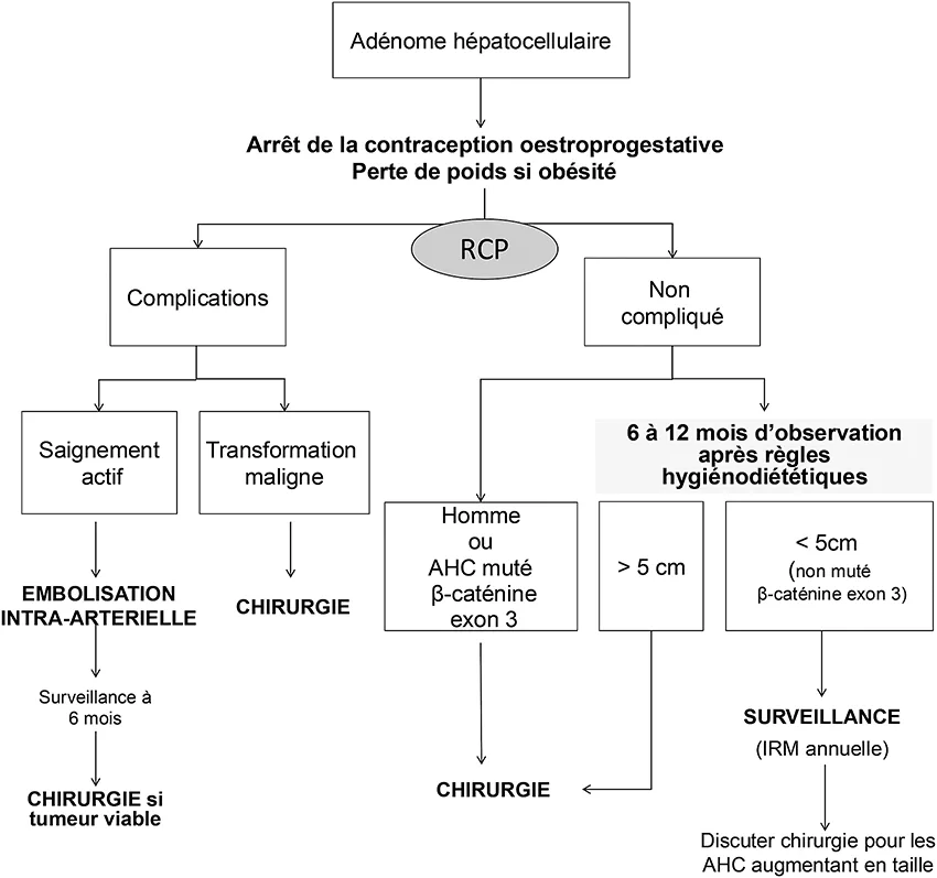 Figure 3 : Algorithme de prise en charge des adénomes hépatocellulaires